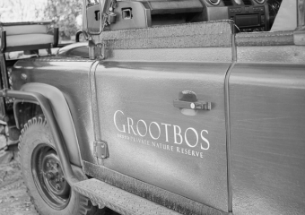 Grootbos vehicle.jpg