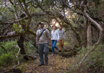 web-grootbos-experience-hikes-walks-03.jpg